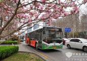 河北邯郸新能源公交发展路：车辆绿色环保 服务文明优质
