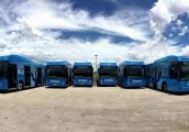 比亚迪开年喜获澳洲最大电动巴士订单