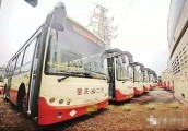 肇庆将推定制公交 20人可开线路
